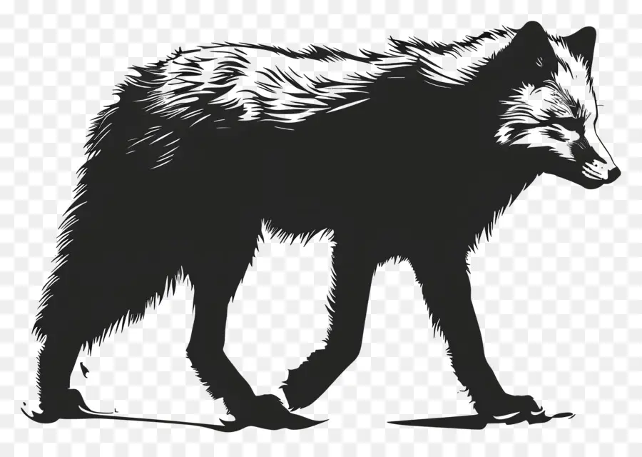 Silhueta Do Ártico Fox，Lobo PNG