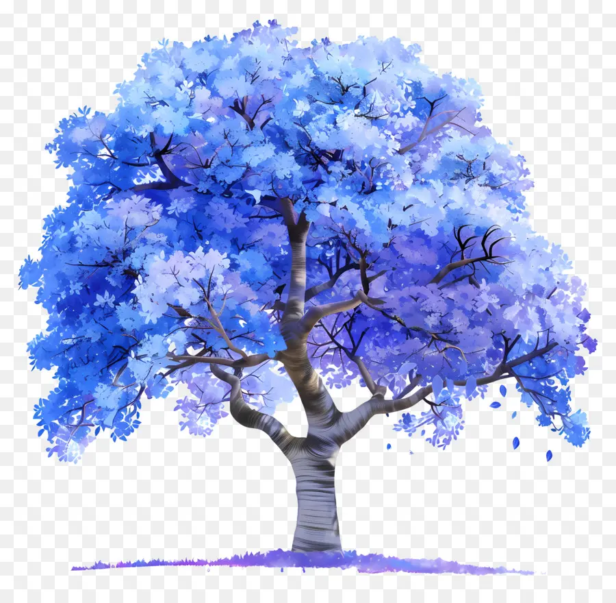 Árvore Jacaranda Azul，Folhas Difusas Azuis PNG