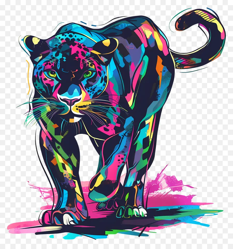 Panther，Onça Preta PNG