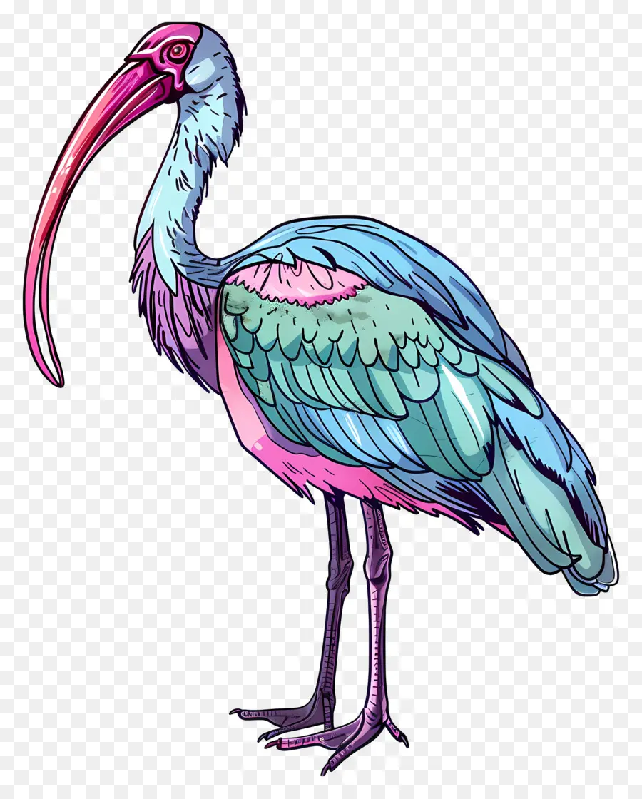 Ibis，Cor De Rosa Flamingo PNG