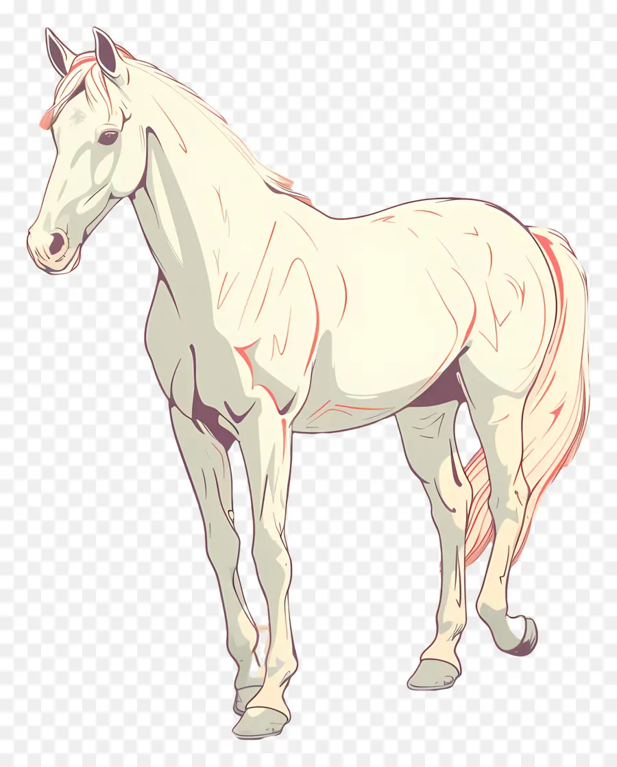 Cavalo，Cavalo Branco PNG