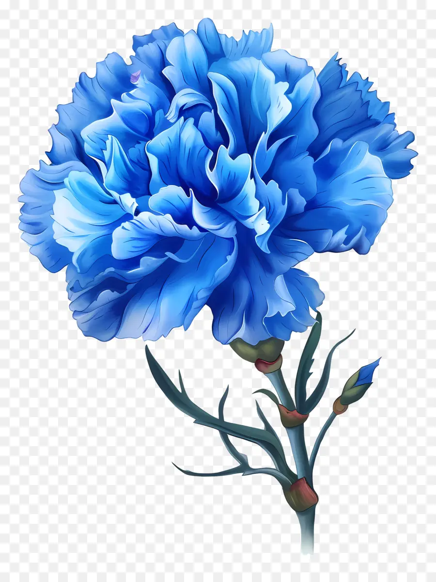 CarnaÇÃo Azul，Flor PNG