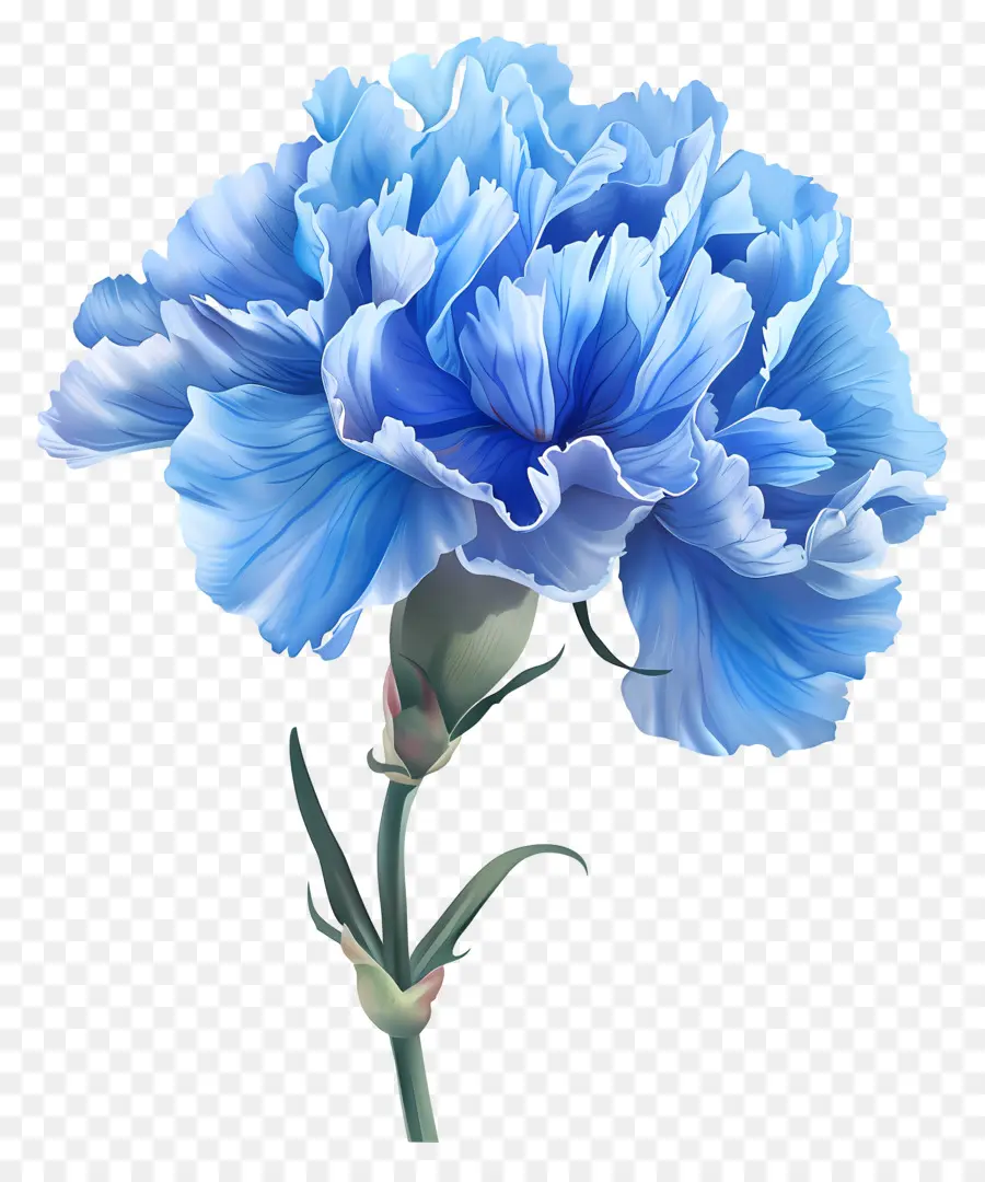 CarnaÇÃo Azul，Buquê De Flores PNG
