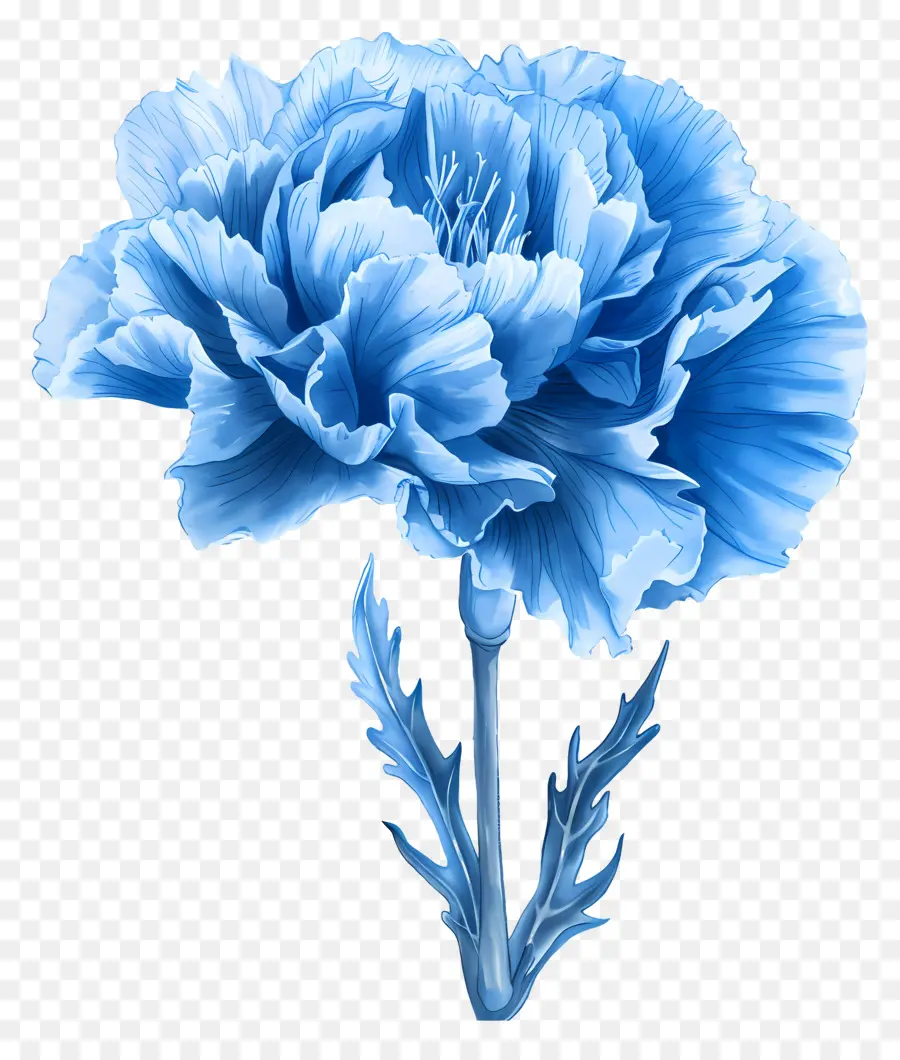 CarnaÇÃo Azul，Flor Azul PNG