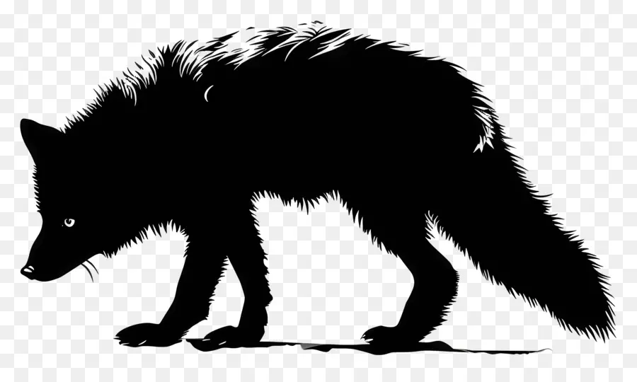 Silhueta Do Ártico Fox，Lobo Negro PNG
