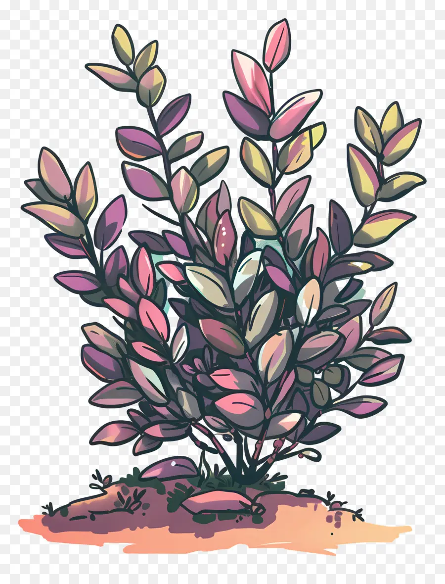 Arbusto，Cor De Rosa Da Planta PNG