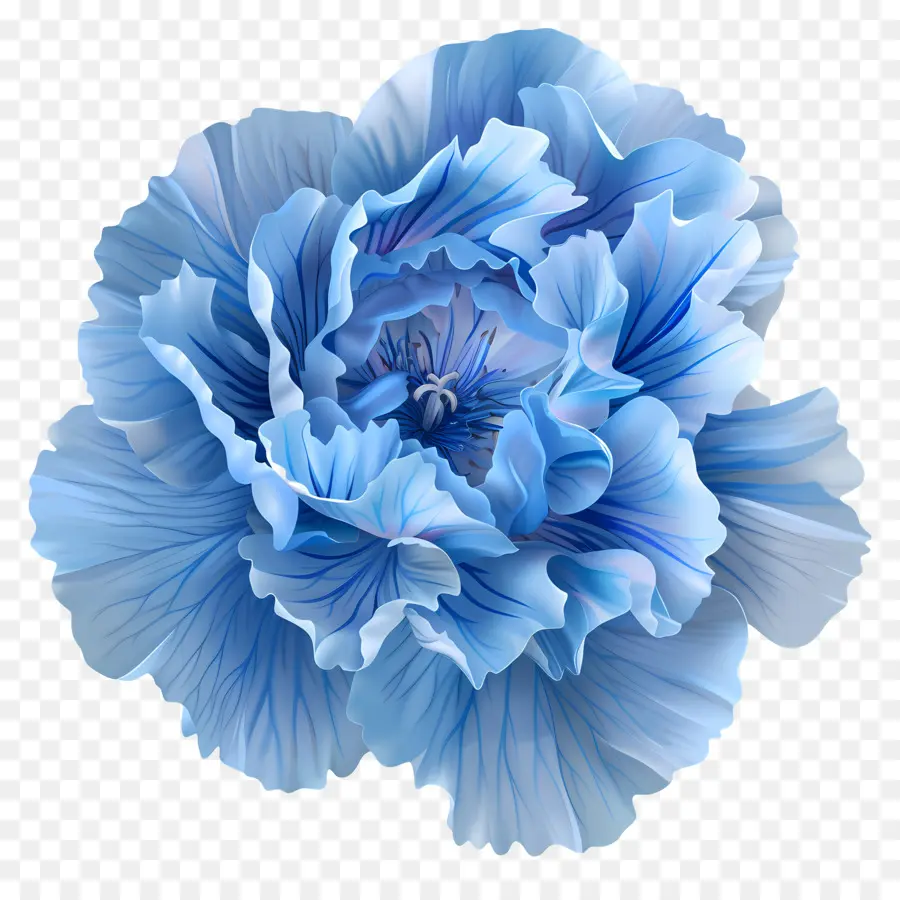 CarnaÇÃo Azul，Flor Azul PNG