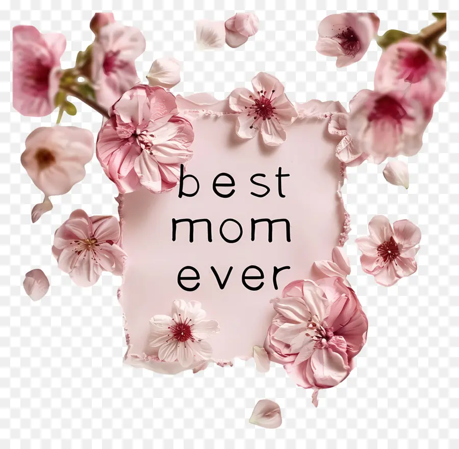 Melhor Mãe De Sempre，Sakura Flor PNG