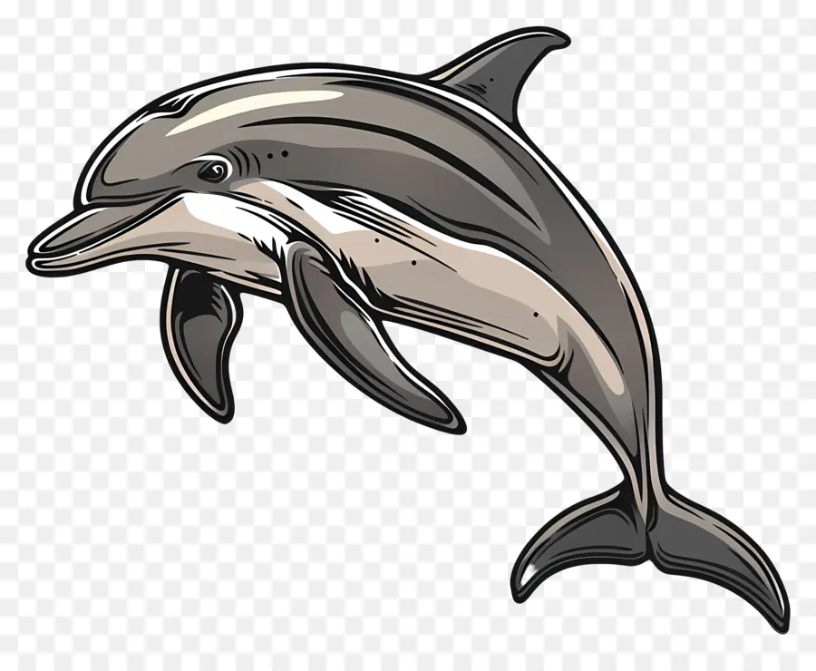 Dolphin，Pulando PNG