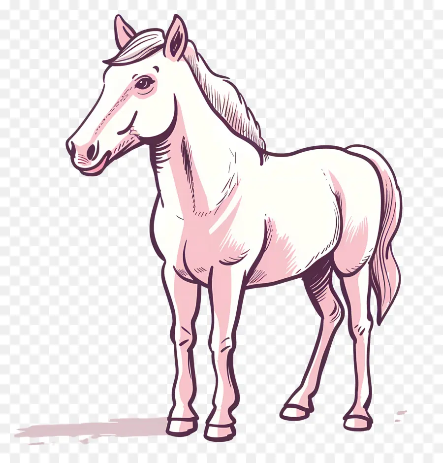 Cavalo，De Pé PNG