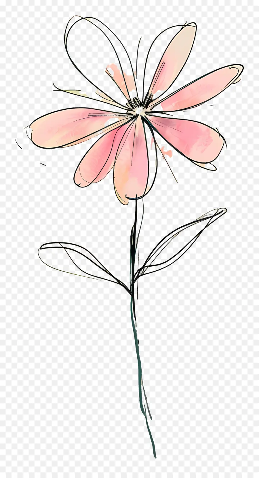 Flor Rosa，Desenho De Flor PNG