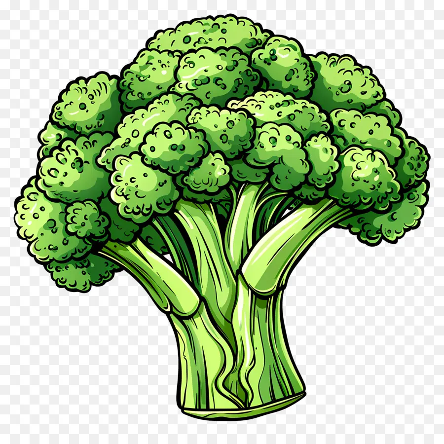 Brócolis，Vegetais Verdes PNG
