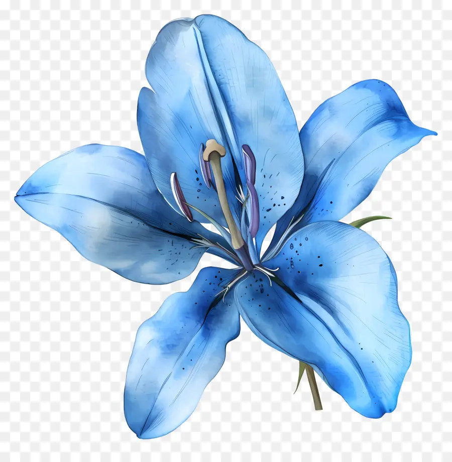 Lírio Azul，Flor Azul PNG