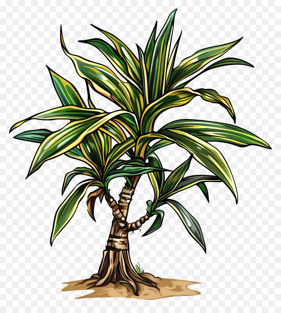 Planta，Planta Tropical PNG