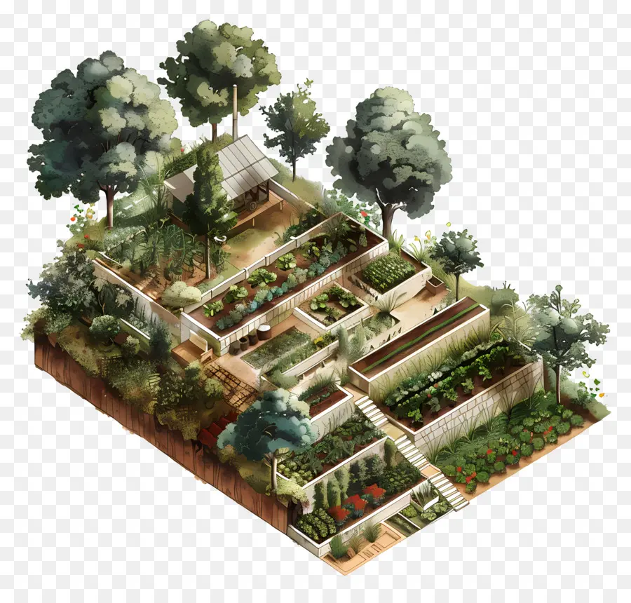 Agricultura Do Terraço，Ilustração Do Jardim PNG