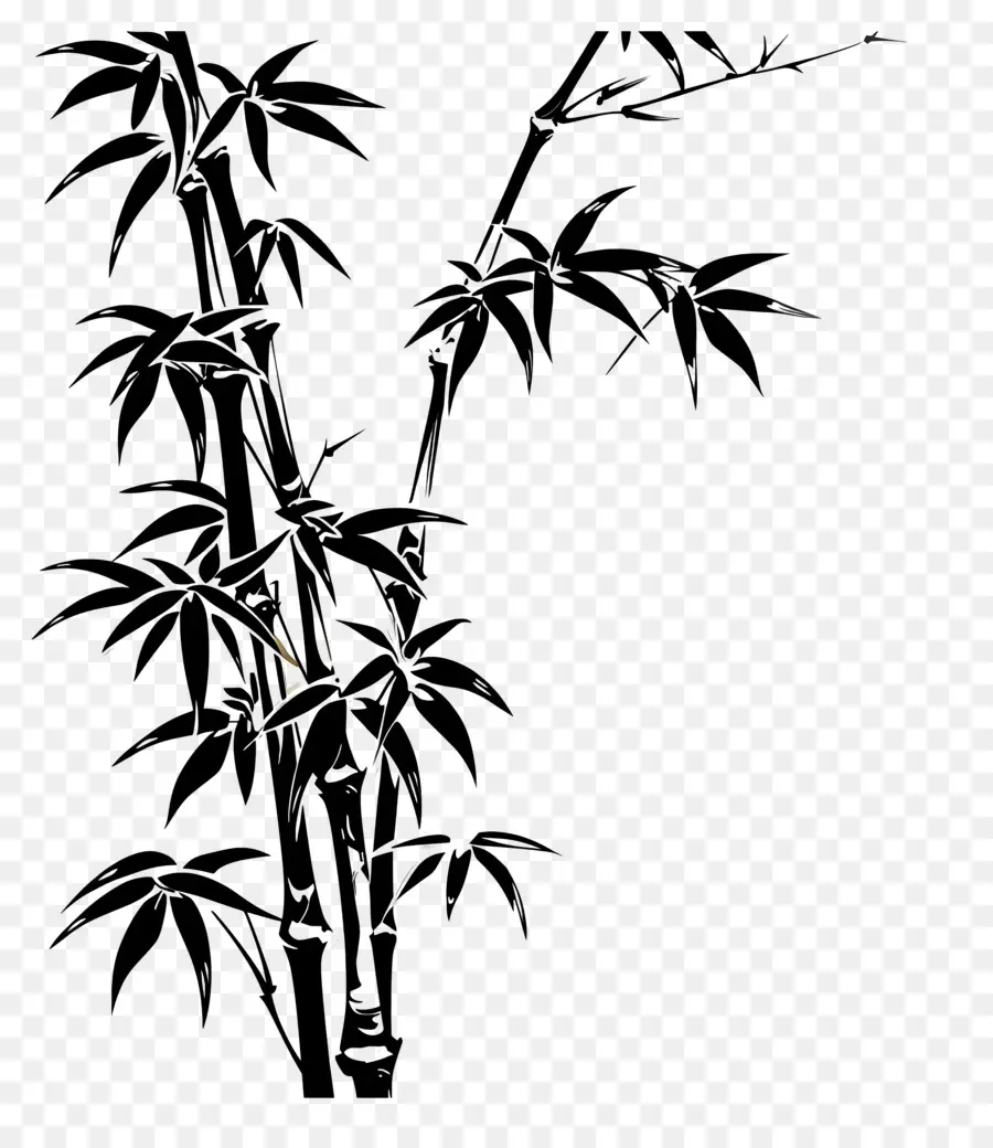Bambu，árvore De Bambu PNG