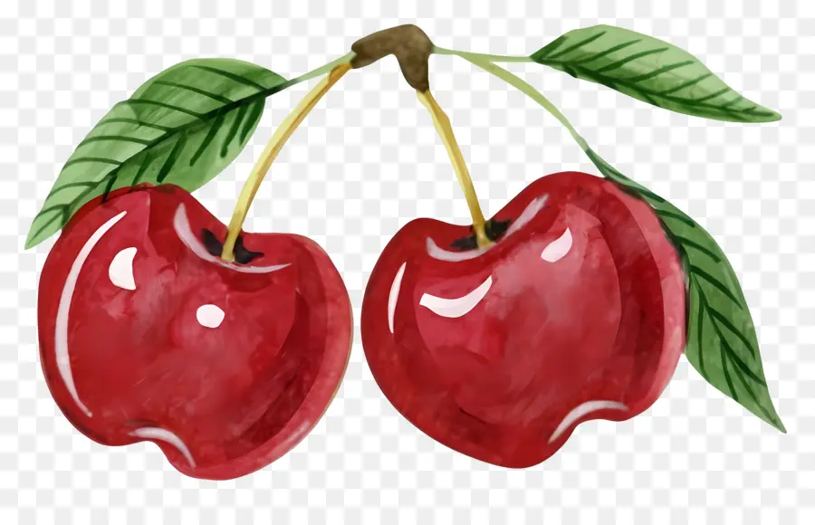 Cerejas，Frutos Vermelhos PNG