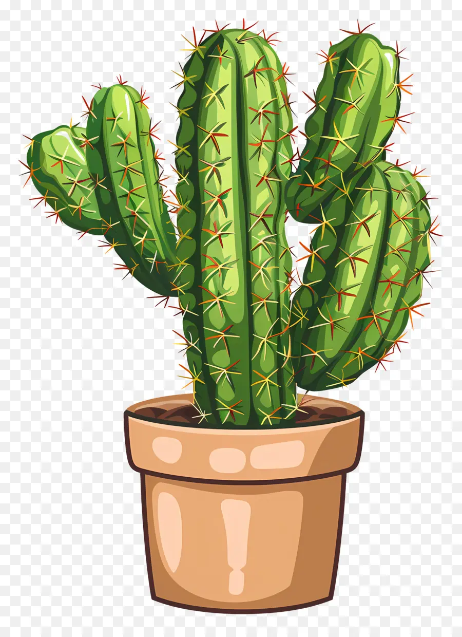 Cactus，Planta Do Cacto PNG