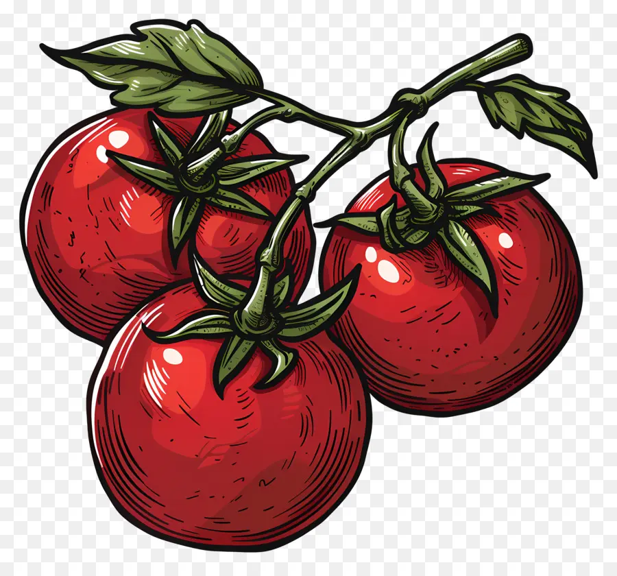 Tomates De Videira，Tomates Vermelhos PNG