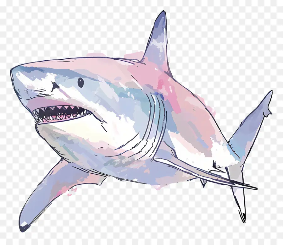 Tubarão，Pintura Digital PNG
