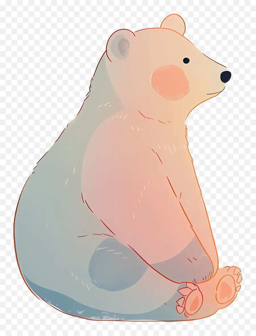 Urso，Desenho PNG