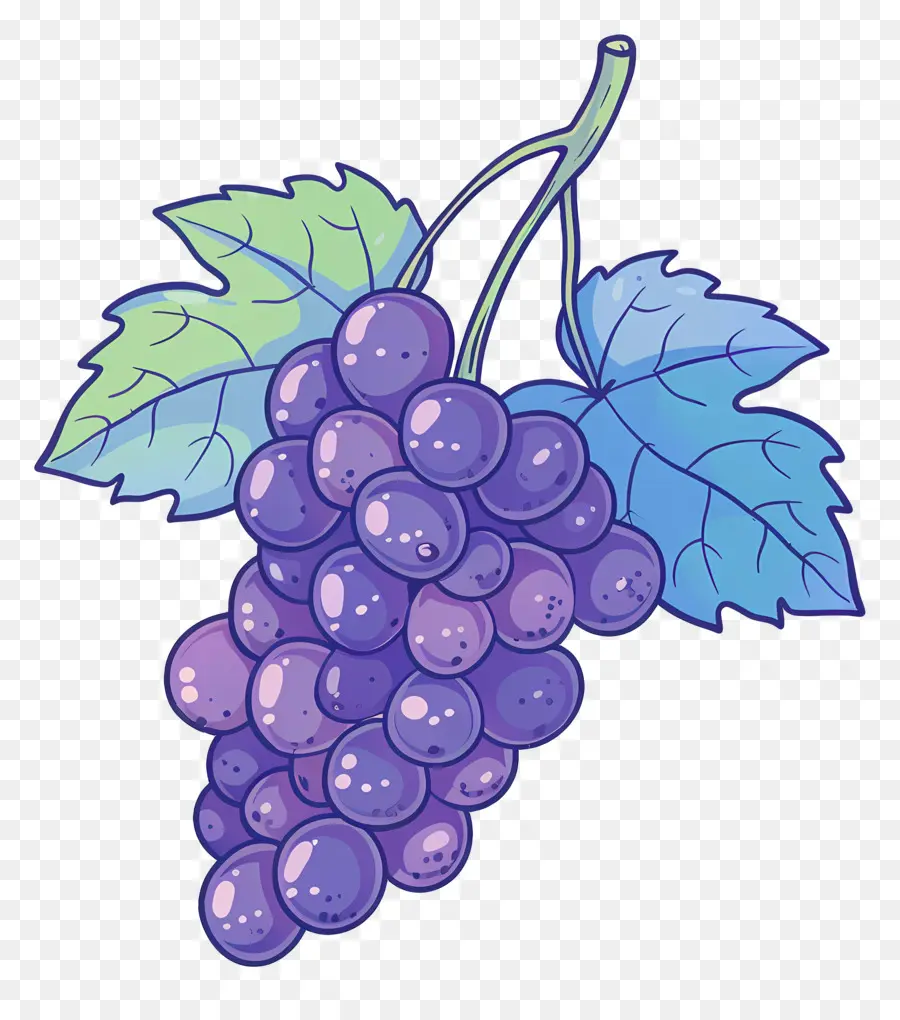 Uvas Clipart，Uva PNG