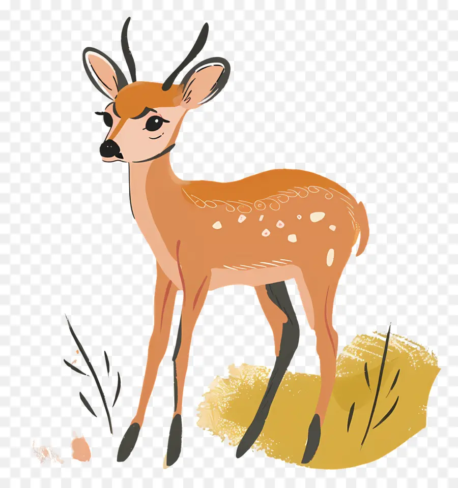 Deer Clipart，Deer PNG