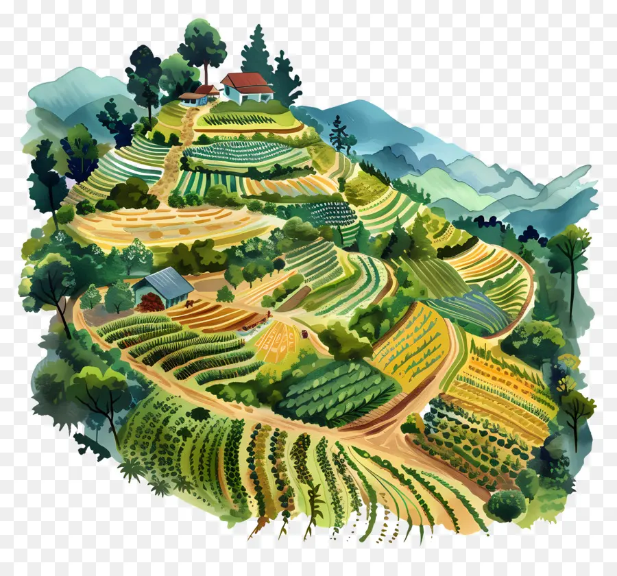 Agricultura Do Terraço，Fazenda De Paisagem PNG