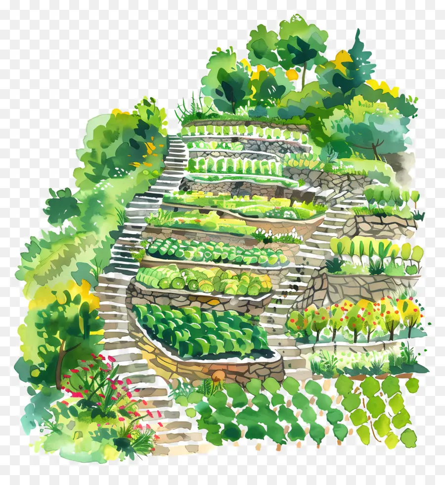 Agricultura Do Terraço，Jardim Com Terraço PNG