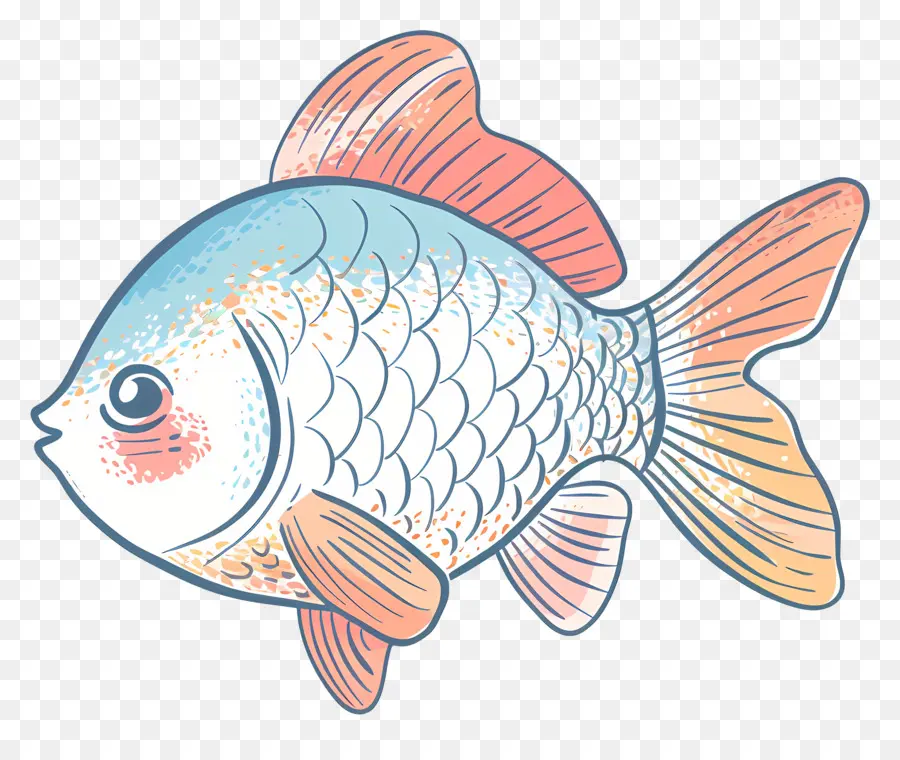 Peixe，Pequenos Peixes PNG