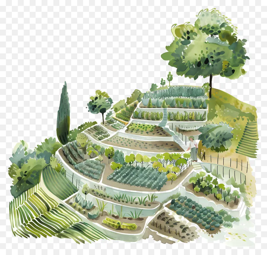 Agricultura Do Terraço，Jardim Em Terraço PNG