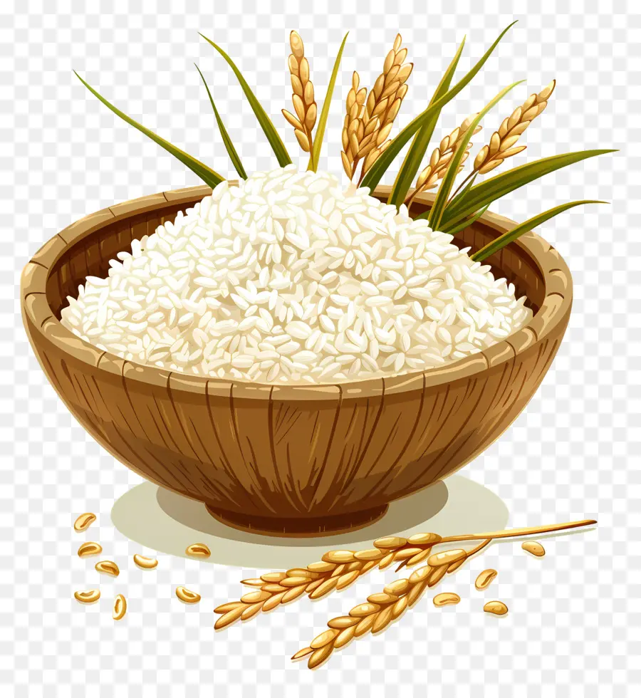 Arroz，Cooked PNG
