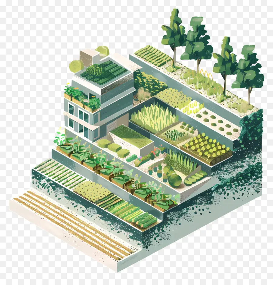 Agricultura Do Terraço，Edifício Verde PNG