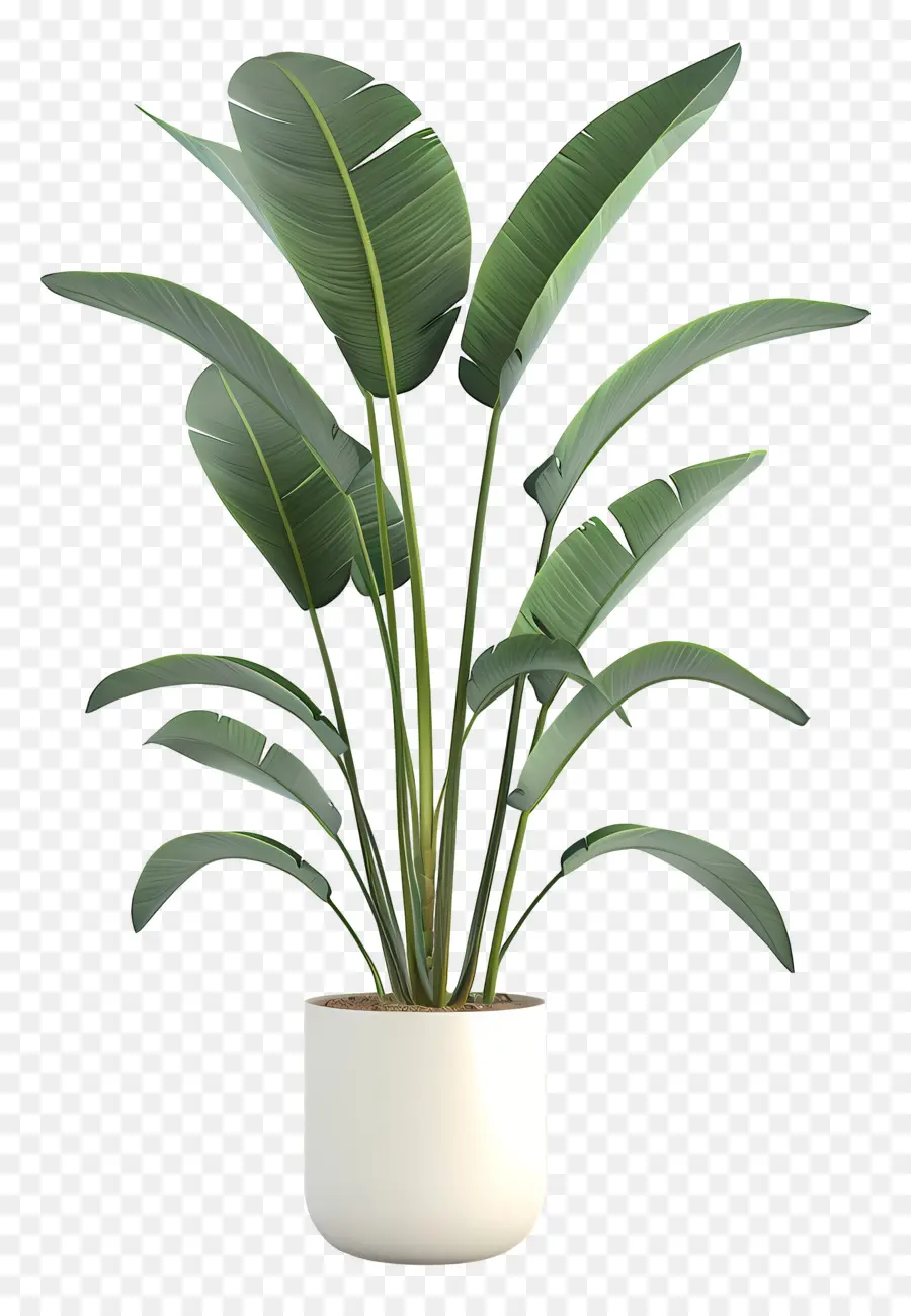 Formato Da Planta Interna，Um Vaso De Planta PNG
