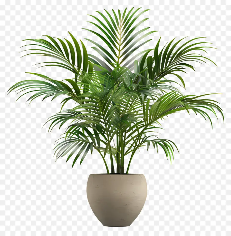 Planta Interna Tropical，Vaso PNG