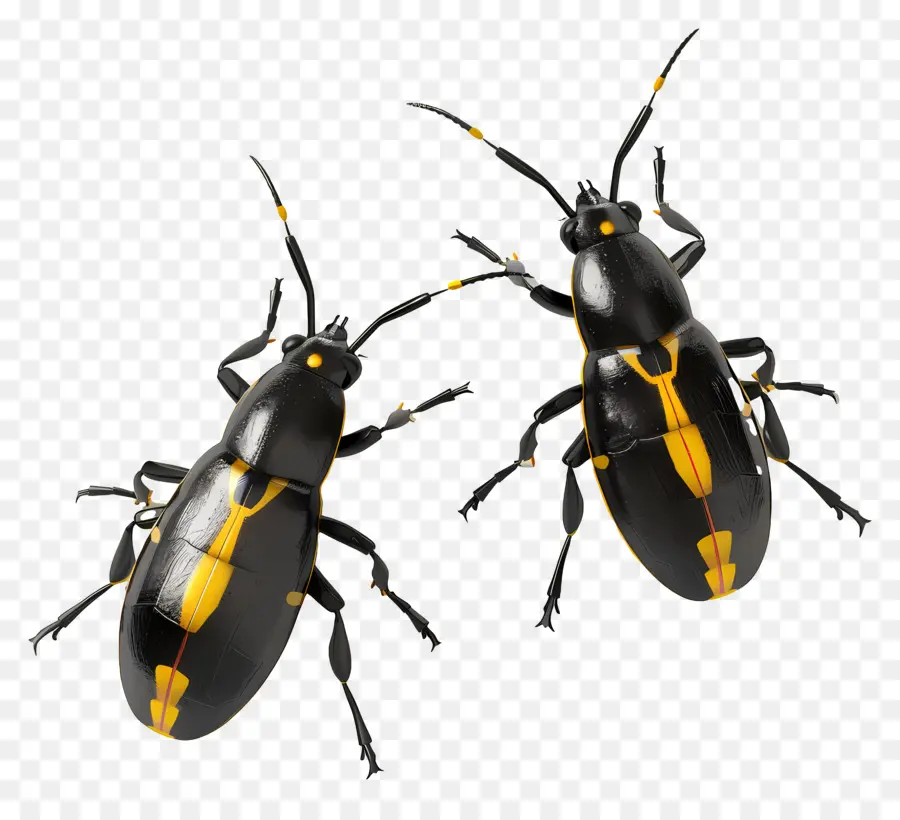 Bugs De Raios，Besouro PNG