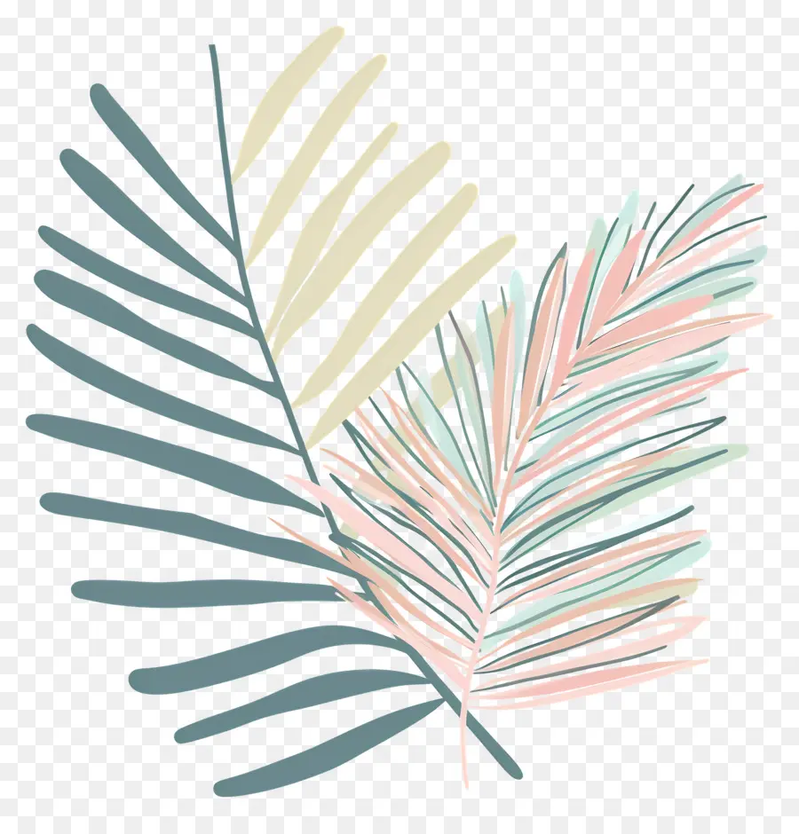 Folha De Palmeira，Folhas De Palmeira PNG