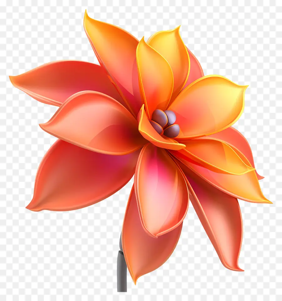 Flor De Estômagos，Flor PNG