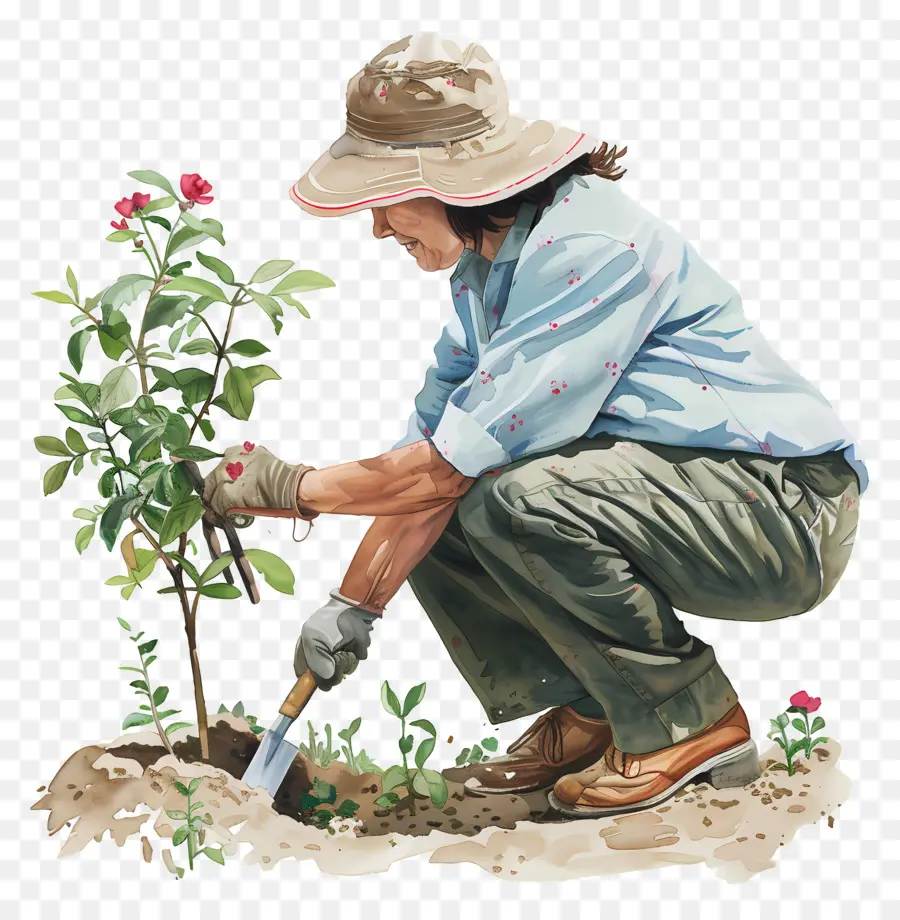 Dia Do Exercício De Jardinagem，Jardinagem PNG