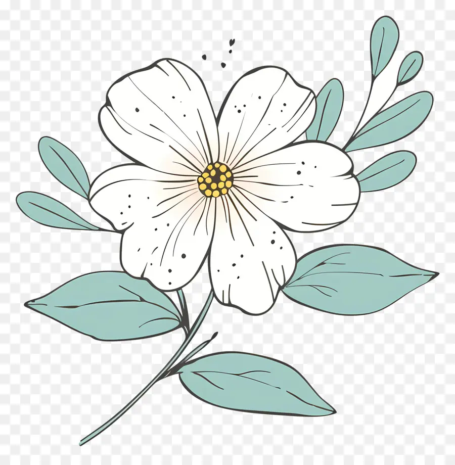 Flor Branca，Desenhado A Mão PNG