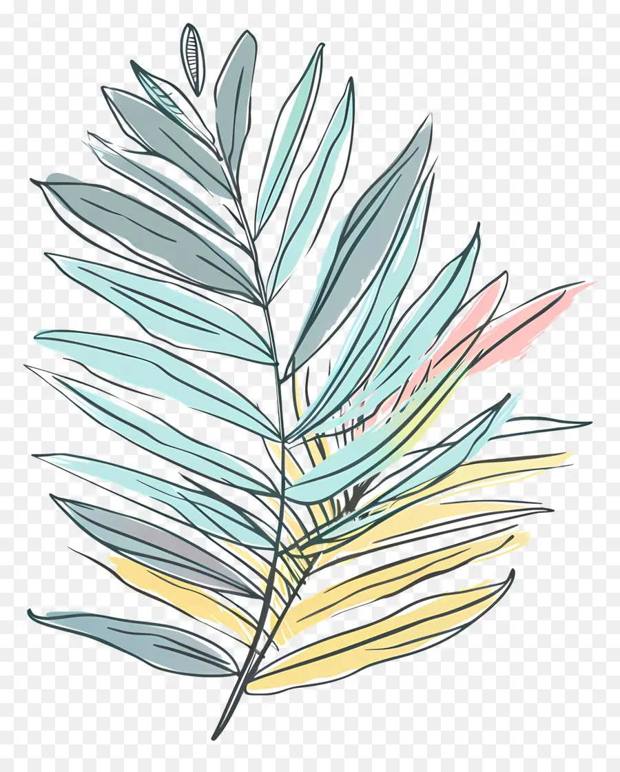 Folha De Palmeira，Planta Frondosa PNG