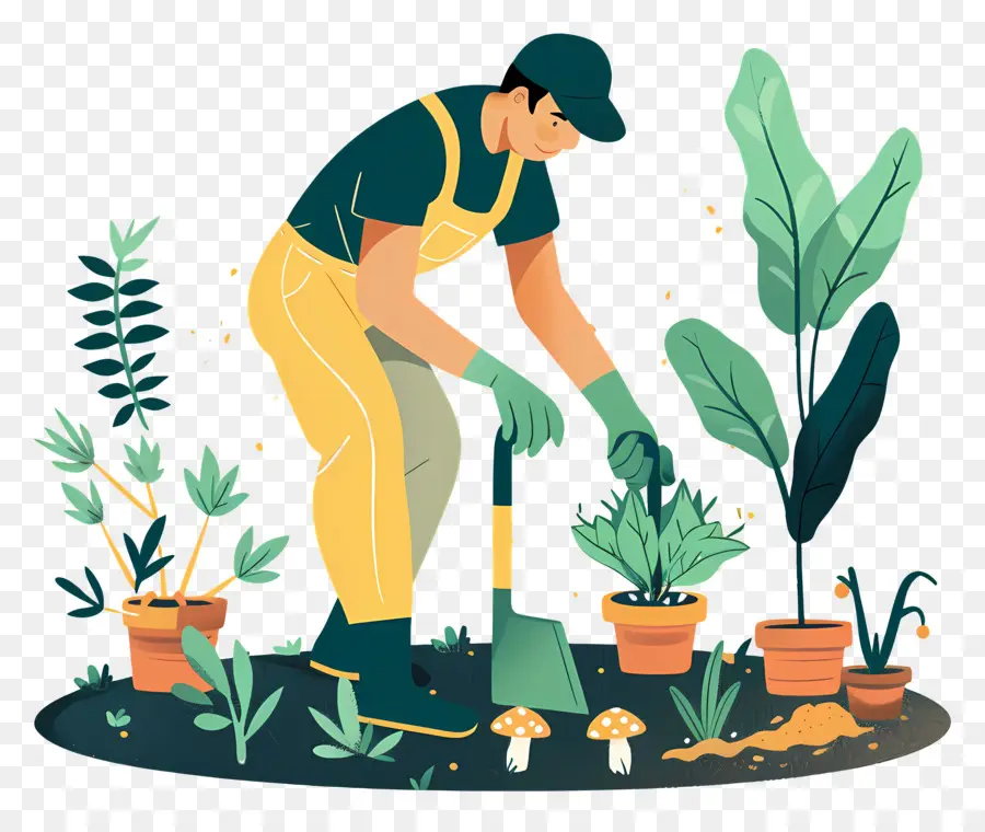 Dia Do Exercício De Jardinagem，Jardinagem PNG