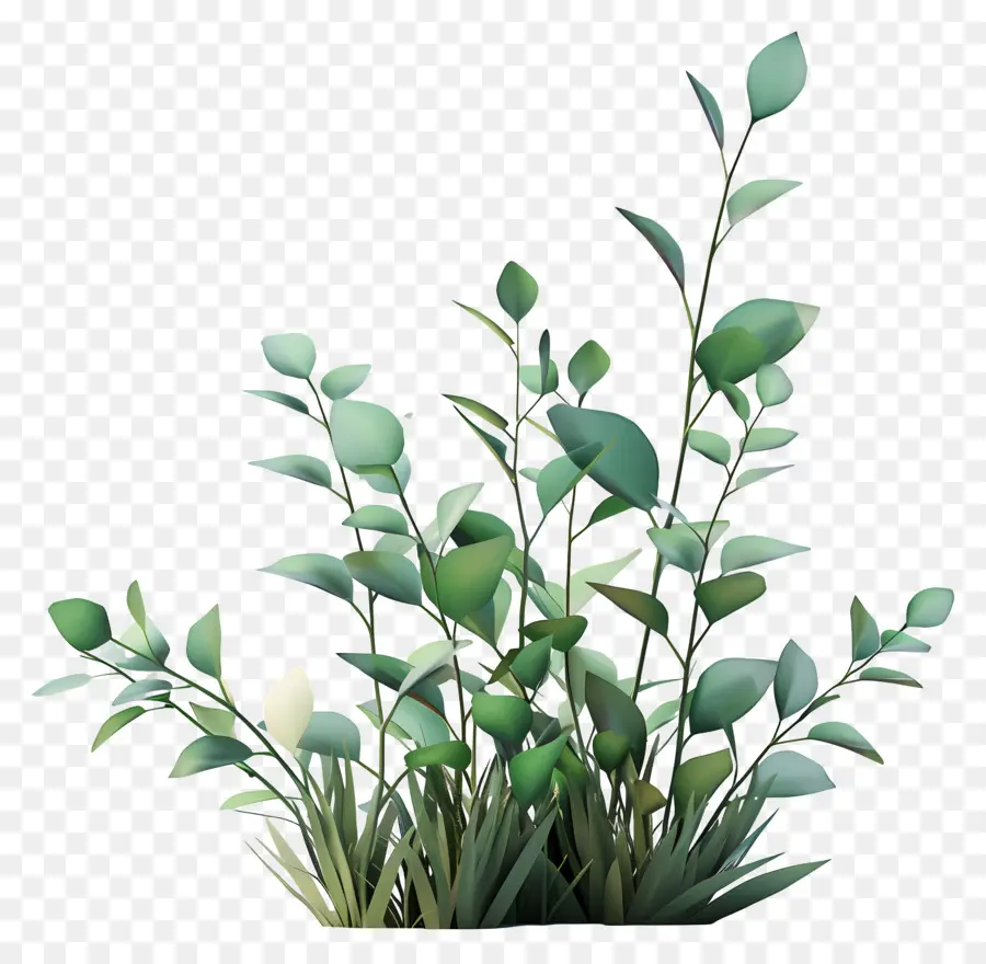 Plantas Verdes，Folhas Verdes PNG