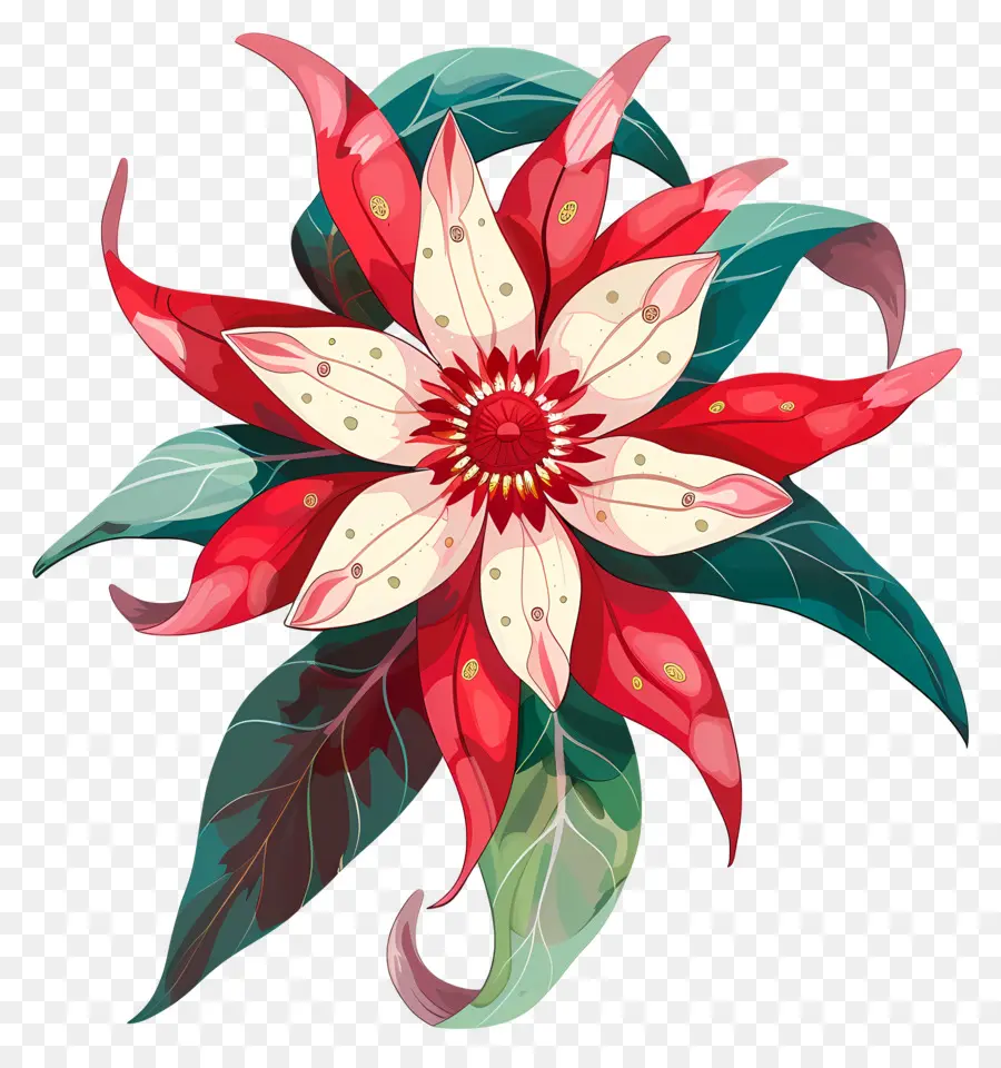 Flor De Estômagos，Flor Vermelha PNG