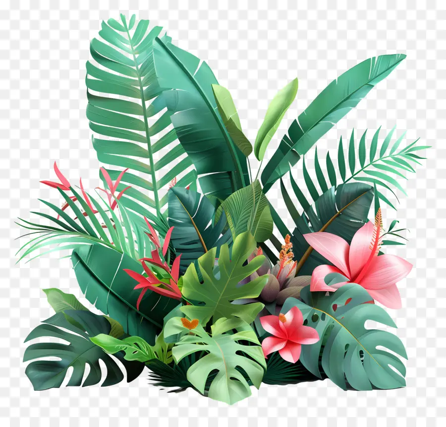 Plantas Tropicais，Plantação Tropical PNG