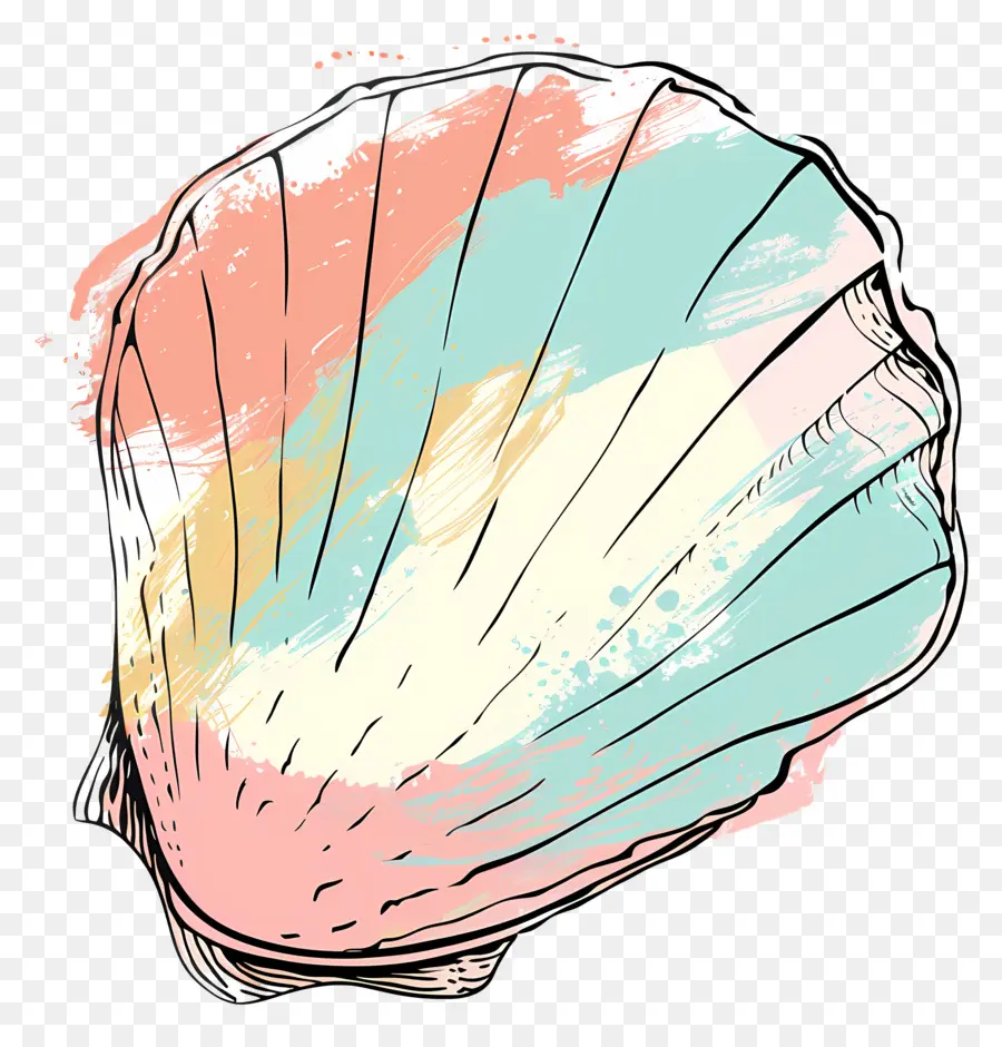 Seashell，Art PNG