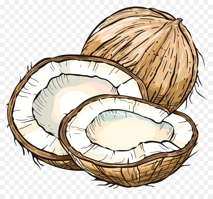 Coco，Frutas PNG