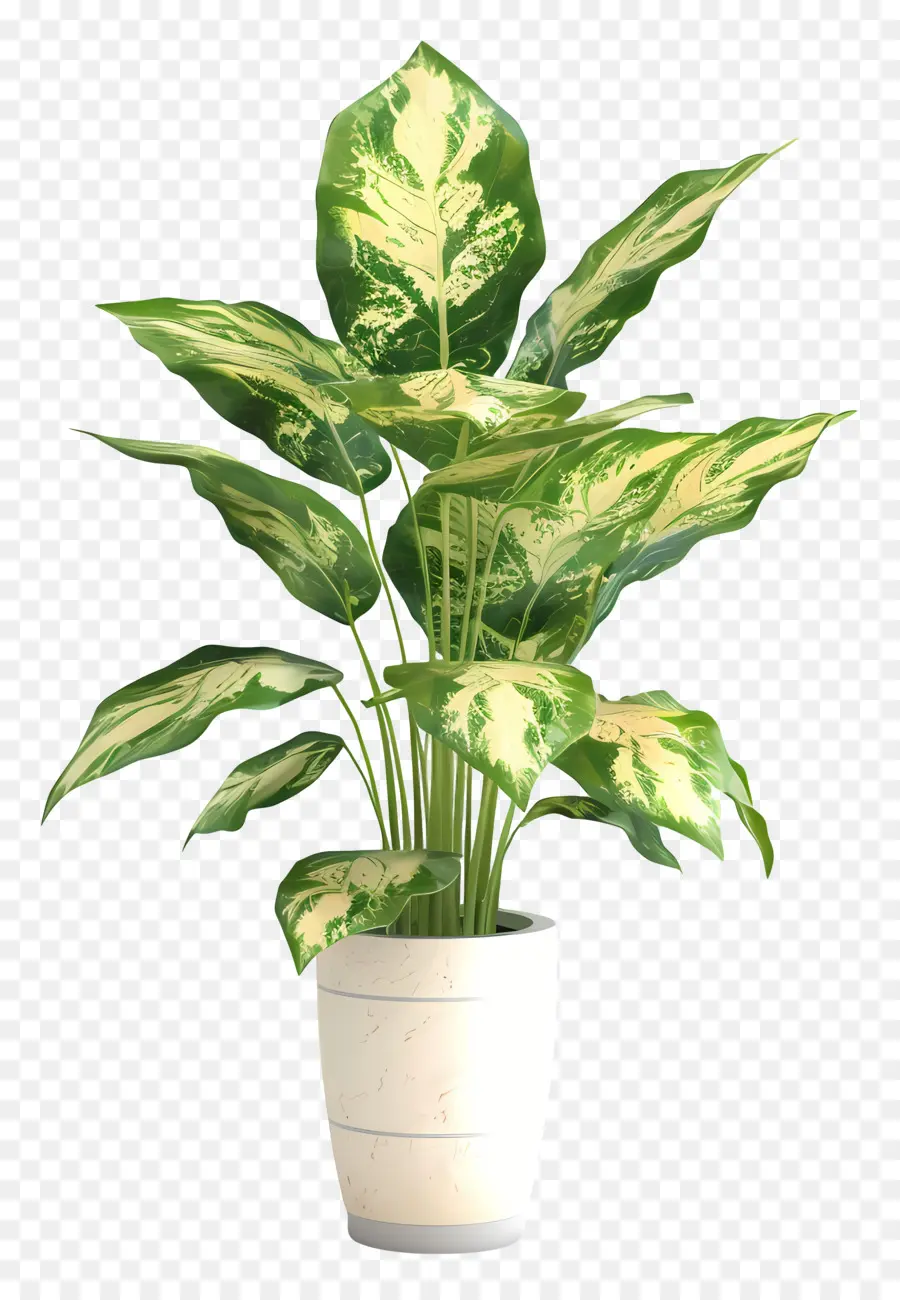 Formatar Planta De Interior，Planta Em Vaso PNG