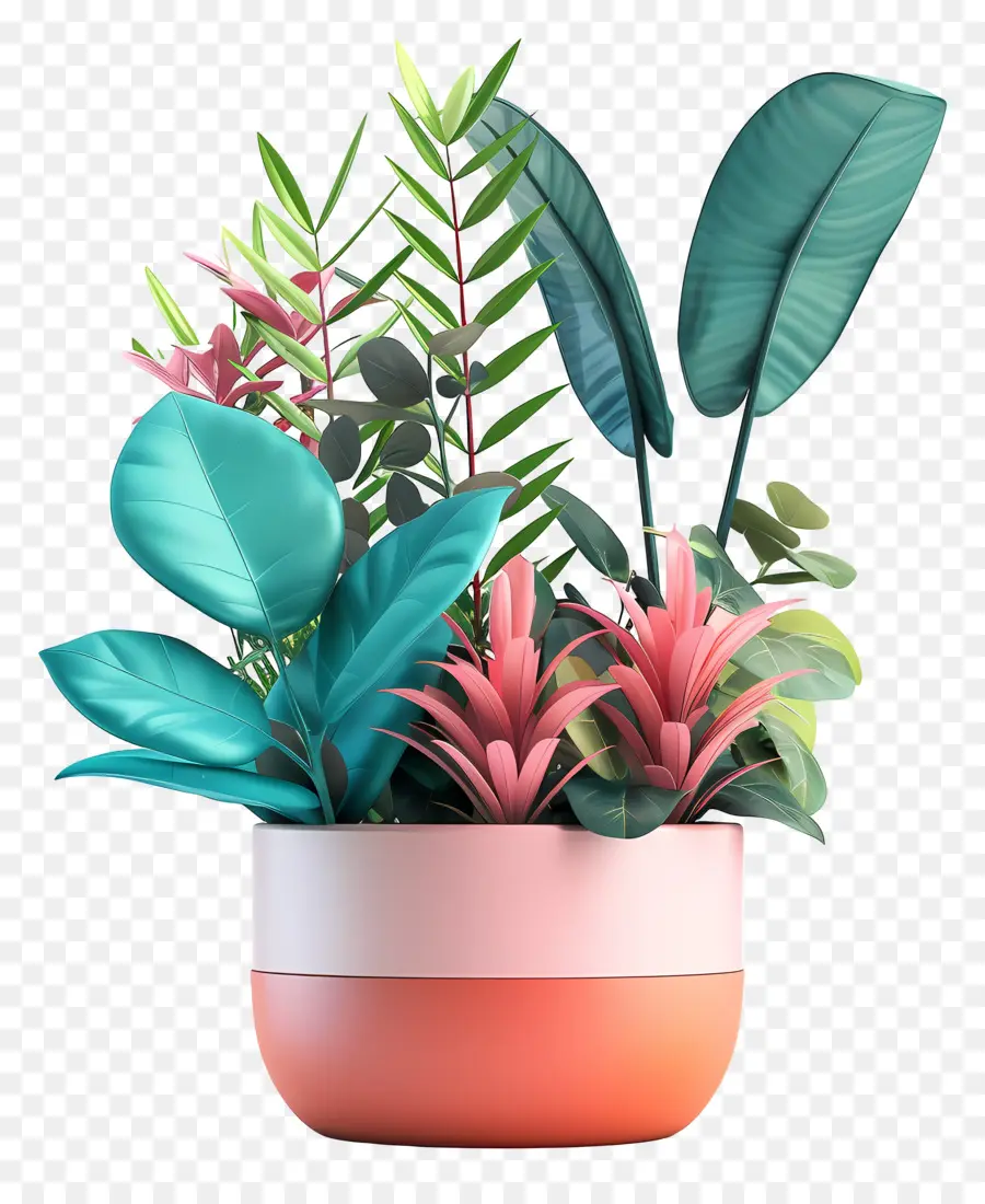 Plantas Estéticas，Plantas Tropicais PNG