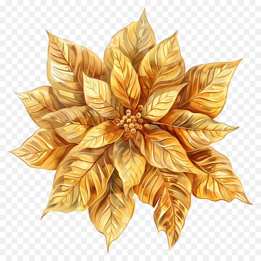 Poinsettia，Golden PNG